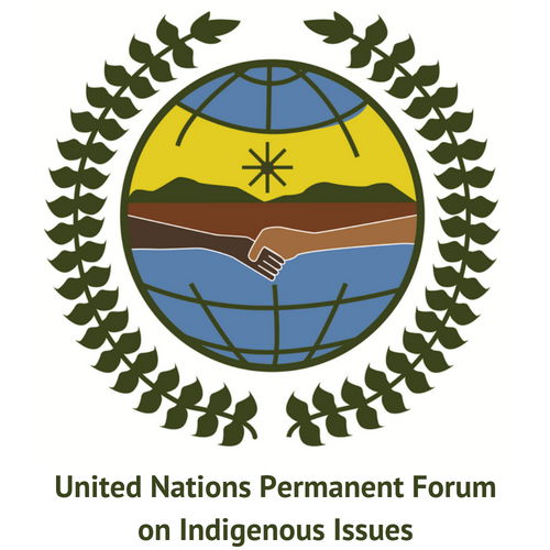 UN Permanent Forum on Indigenous Issues